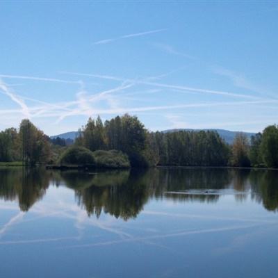 雷火体育APP官网入口